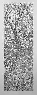 Forest for the Trees 4/5-1
