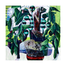 Philodendron, Houseplants Series-3