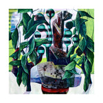 Philodendron, Houseplants Series