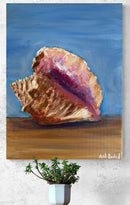 Conch Shell Study-2