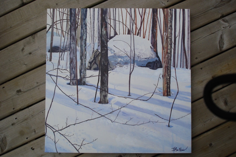 Rock and Snow Gray Rocks Ski Hill | helloart