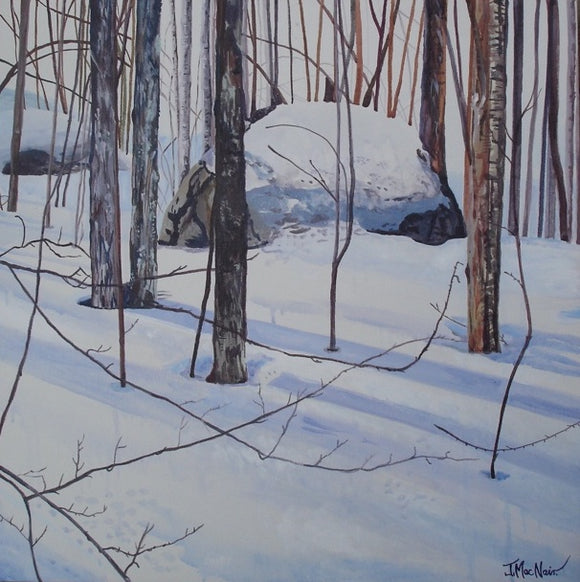 Rock and Snow Gray Rocks Ski Hill | helloart