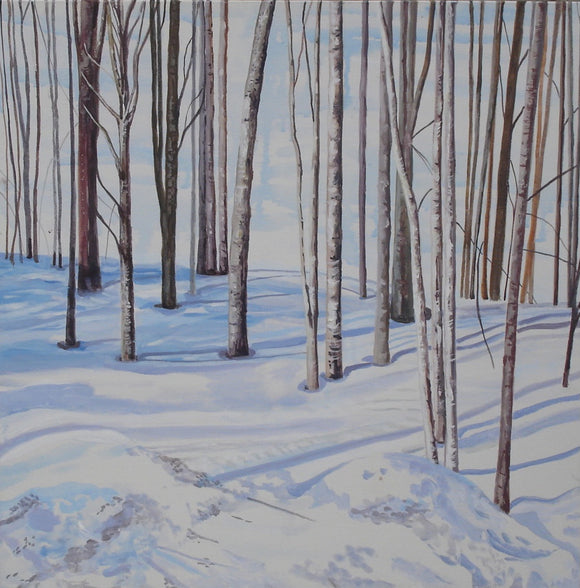 In the Woods Gray Rocks Ski Hill Québec | helloart
