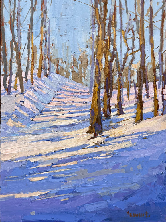 Blue shadows