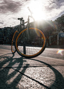 The Bike-1
