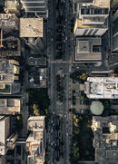 University Avenue-1