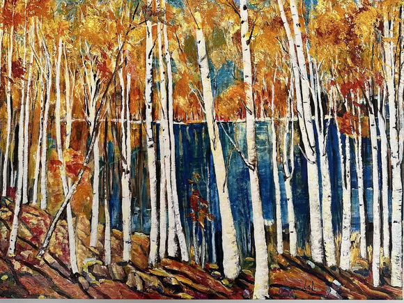 Birch Trees