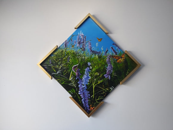 Butterflies in spring