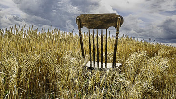 The Harvest Chair in a Wheat Field