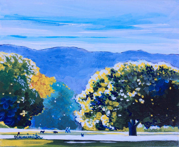 Stroll Undr Giant Trees