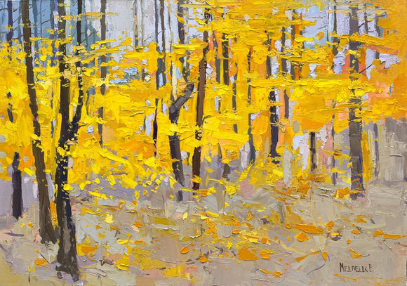 Jefferson forest