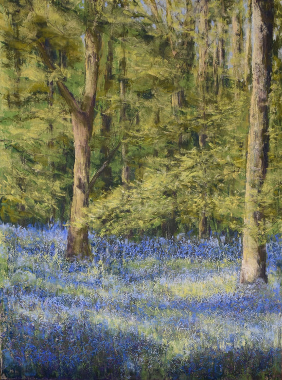 The Bluebells Have Arrived
