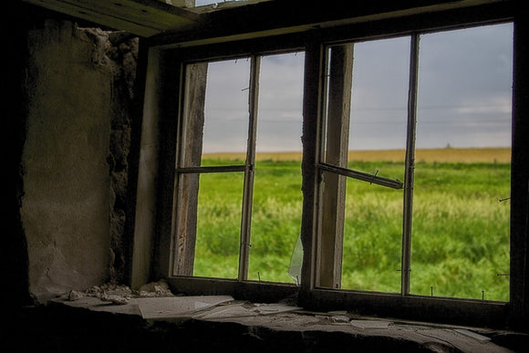 Window