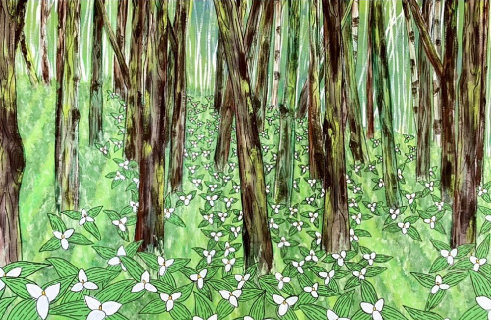 Trillium Forest