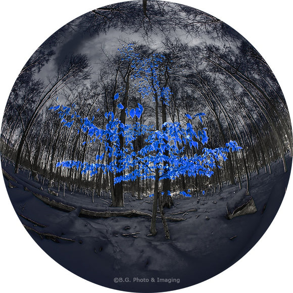 Winter Circle I