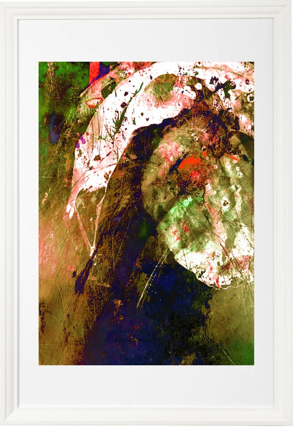 a dream opened my eyes