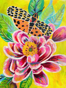 Butterfly Free-1