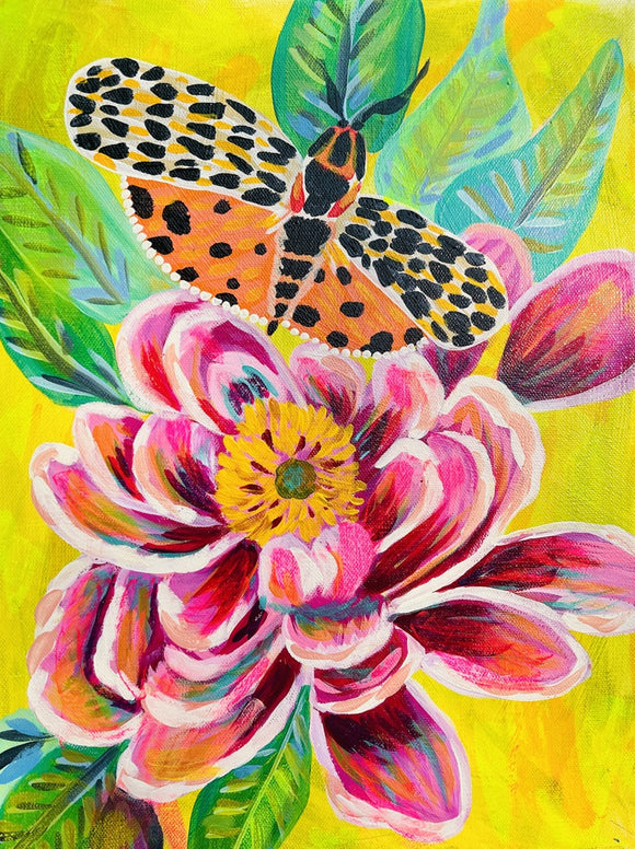 Butterfly Free