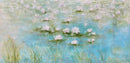 Delight-1