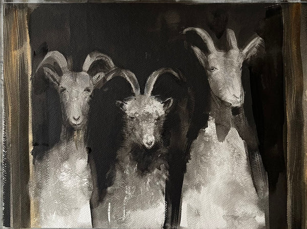 Three Goats in a Row Peeking from the Barn