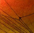 LineScape V, Ossington & Dundas-1