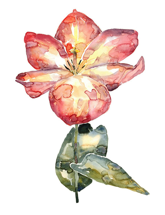 Tulip watercolor painting