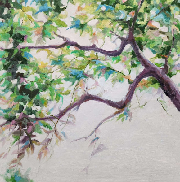 Climbing vines