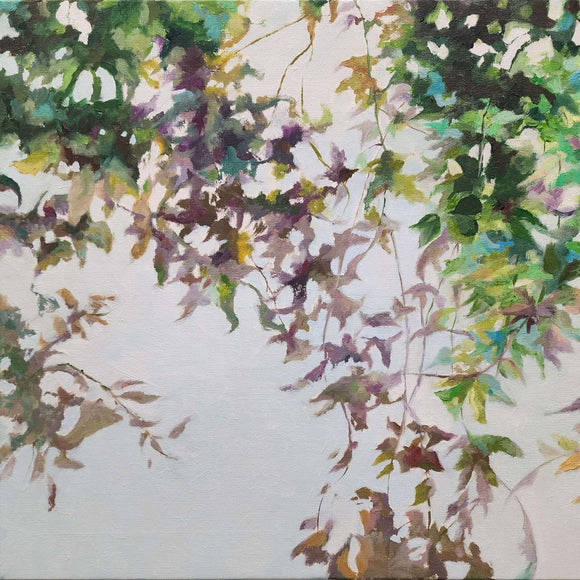 Climbing vines2