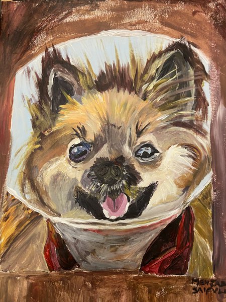 Pet portrait