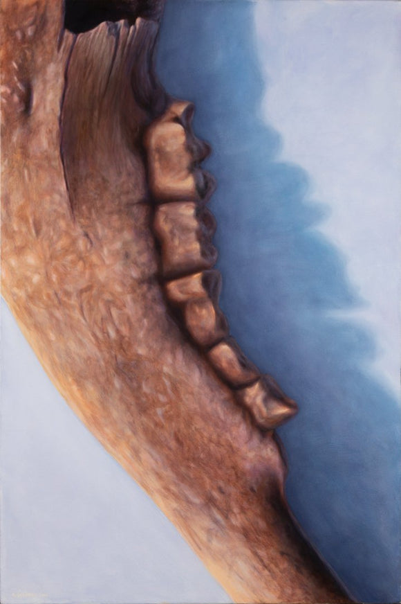 Still Life: Old Buffalo Jaw Two