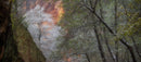 Sedona I-1