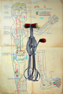 LOST IN TRANSITION - Evolution-1