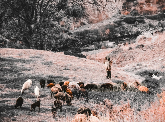 A World Without Green #03