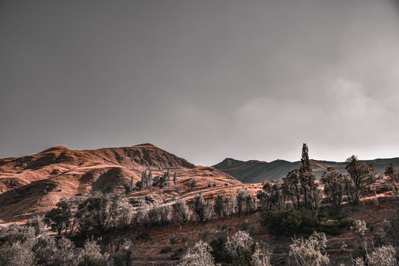 A World Without Green #5