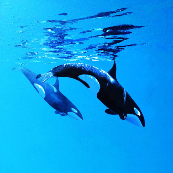 Orcas