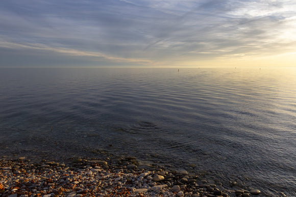 Tommy Thompson Park No1