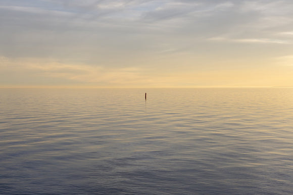 Tommy Thompson Park No2