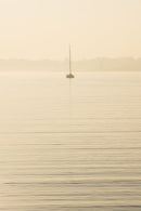 Tommy Thompson Park No5-1