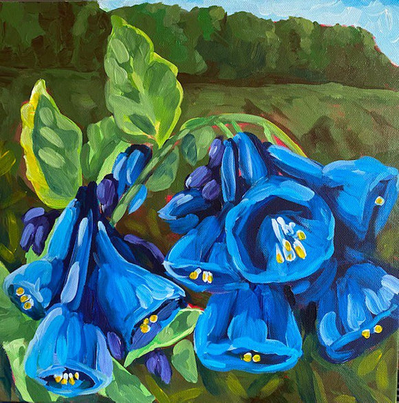 Bluebells on the 16-Mile Creek