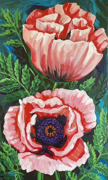 Pink Poppies