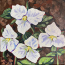 Trilliums III-1