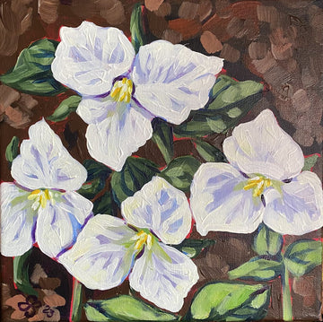 Trilliums III