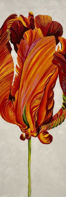 Parrot Tulip 3-1