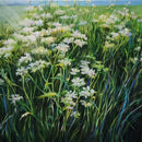 Spring song-1