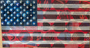US of PB - Individuality-1