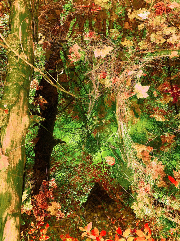 ON YOUR ISLAND: PASSING THROUGH THE VEIL III