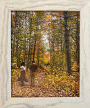 Beautiful autumn in Toronto (1)-1