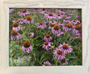 Purple flowers-1