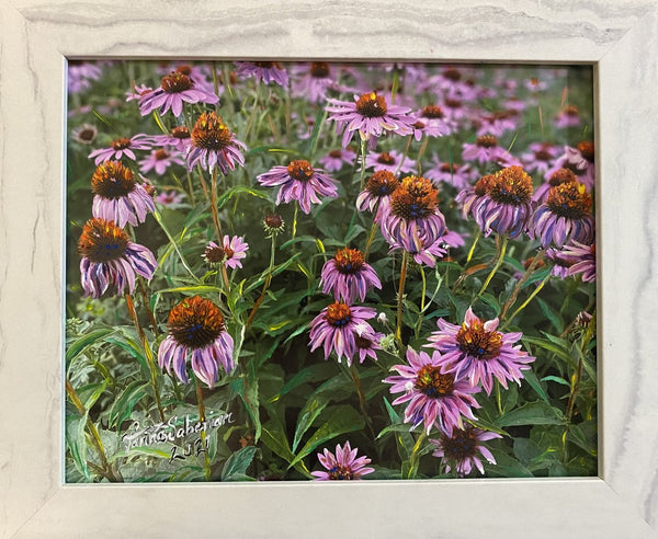 Purple flowers