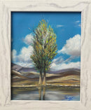 Calmness of nature (1)-1